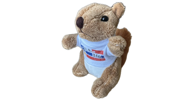 A plush squirrel with a U.S. 250 t-shirt.